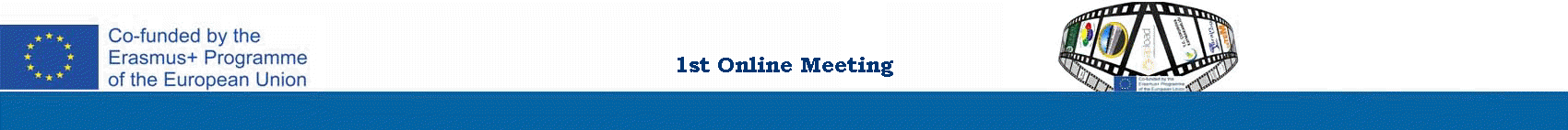 1st Online Meeting